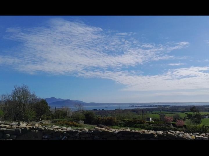 Fairy Cove At Rosemount Glamping Hotel Carlingford Exterior photo